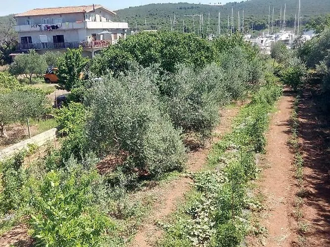 Krizan * Bibinje